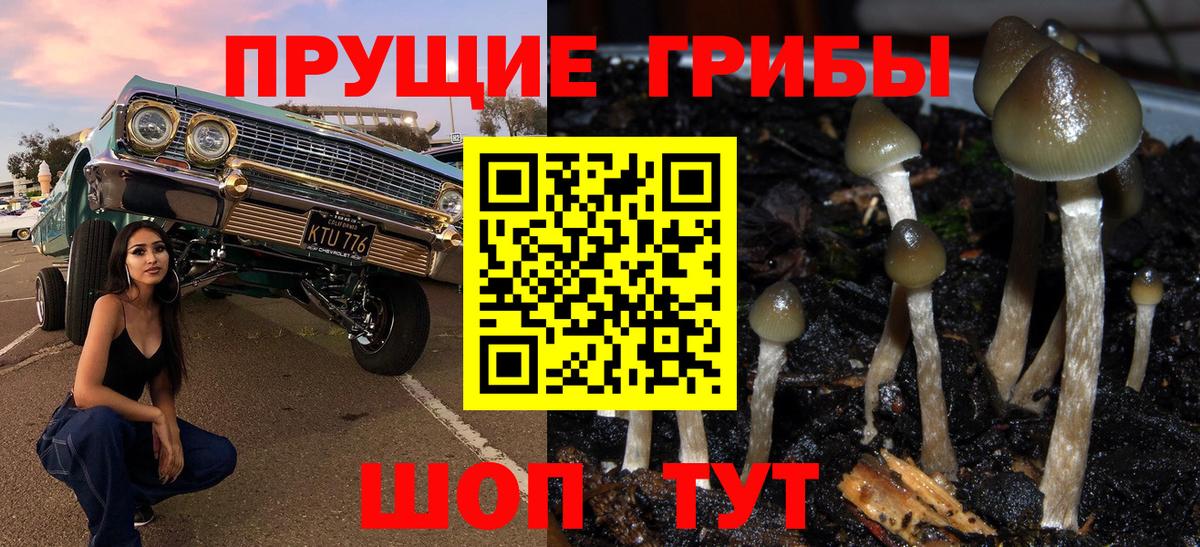 Галлюциногенные грибы мухоморы  где найти наркотики  Вход с VPN  Электрогорск  Галлюциногенные грибы мухоморы 